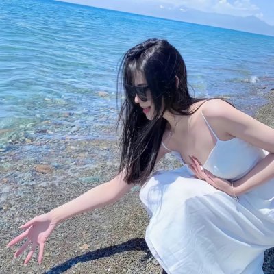 国王与小鸟 海报